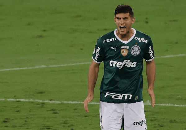 benjamin-kuscevic-botafogo-v-palmeiras-brasileirao-2022